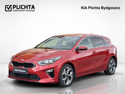 używany Kia Ceed salon KIA PLICHTA Bydgoszcz