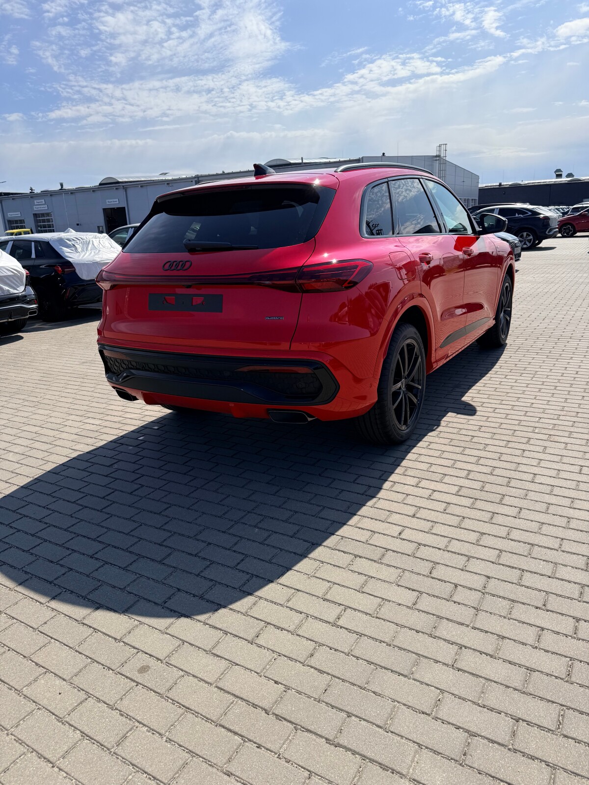 Zdjęcie 7 z 15