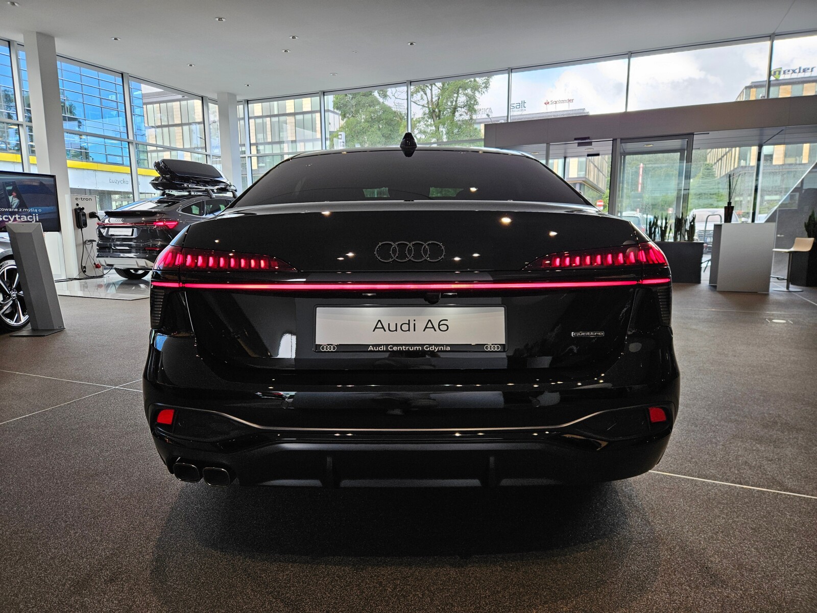 Zdjęcie 5 z 34