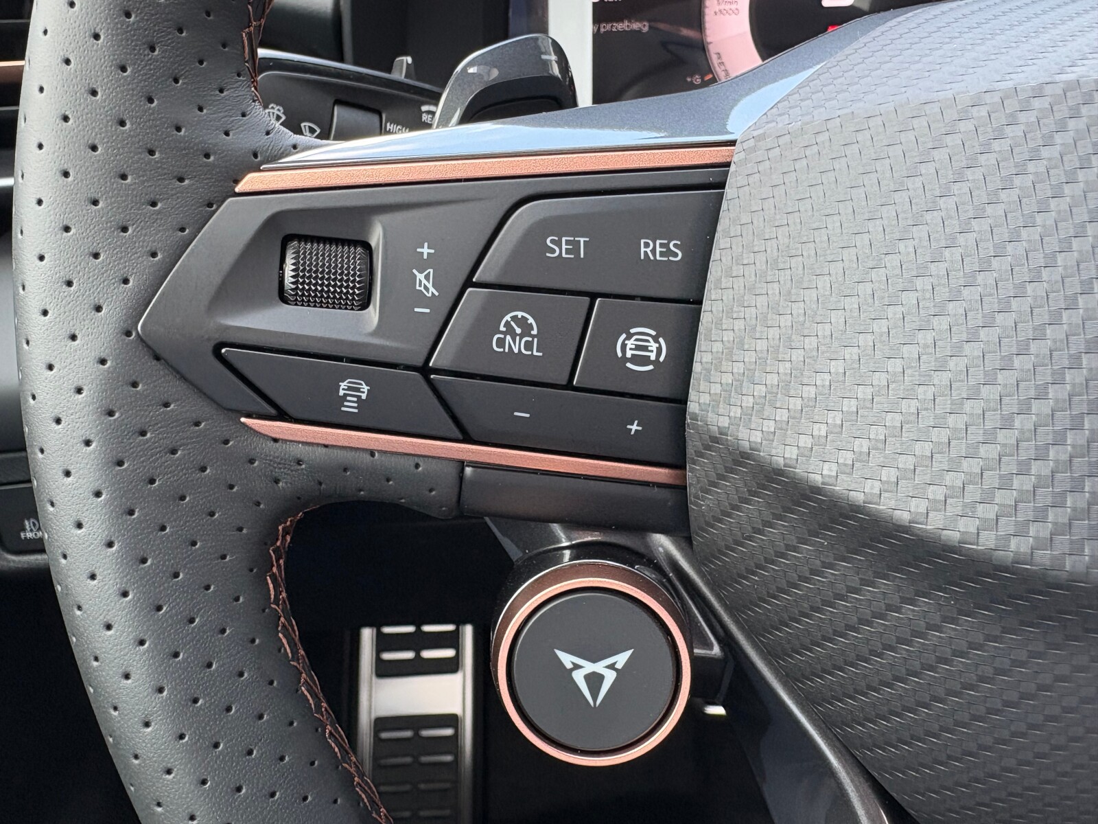 Cupra Terramar - zdjęcie 25
