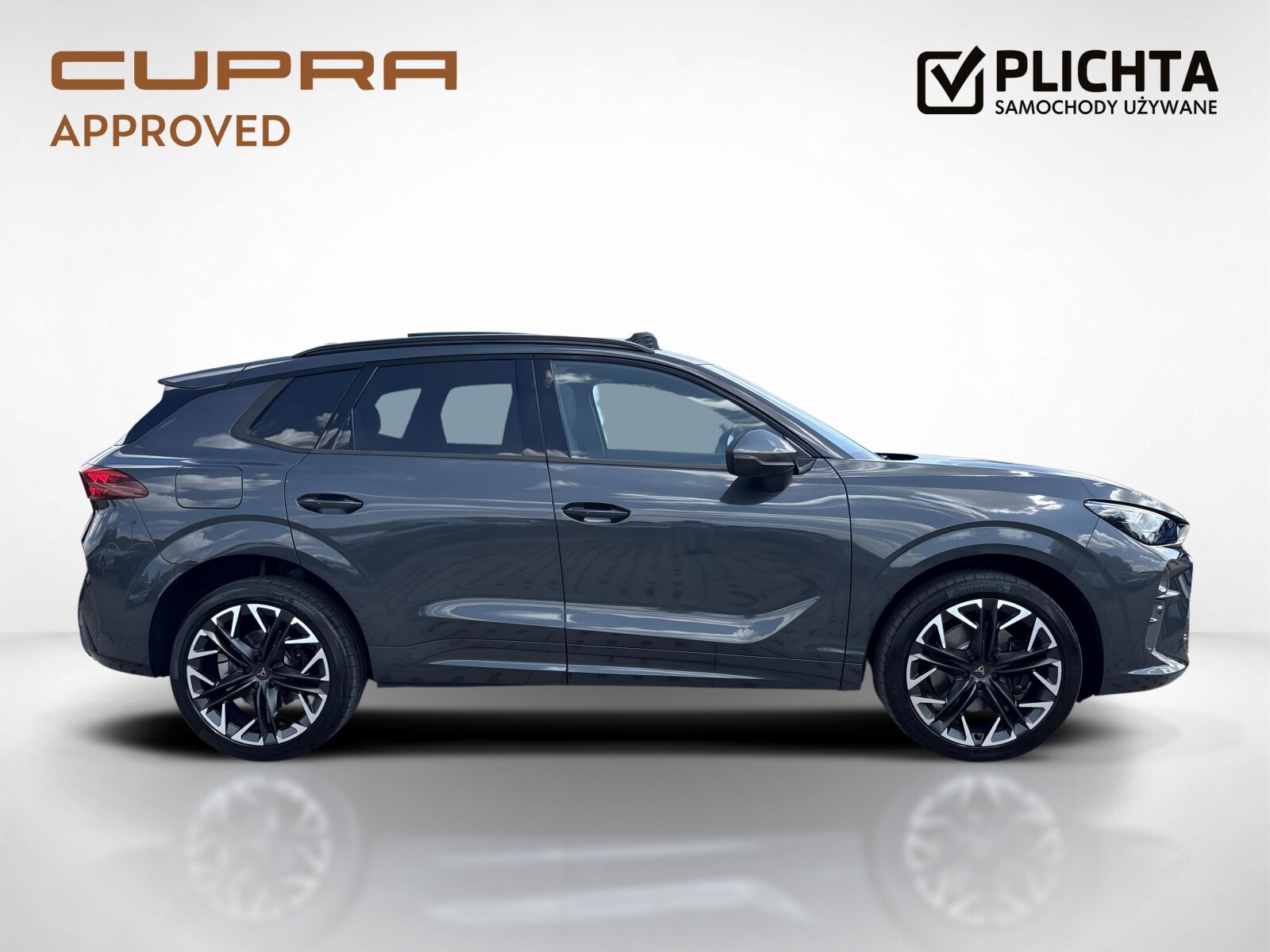 Cupra Terramar - zdjęcie 6