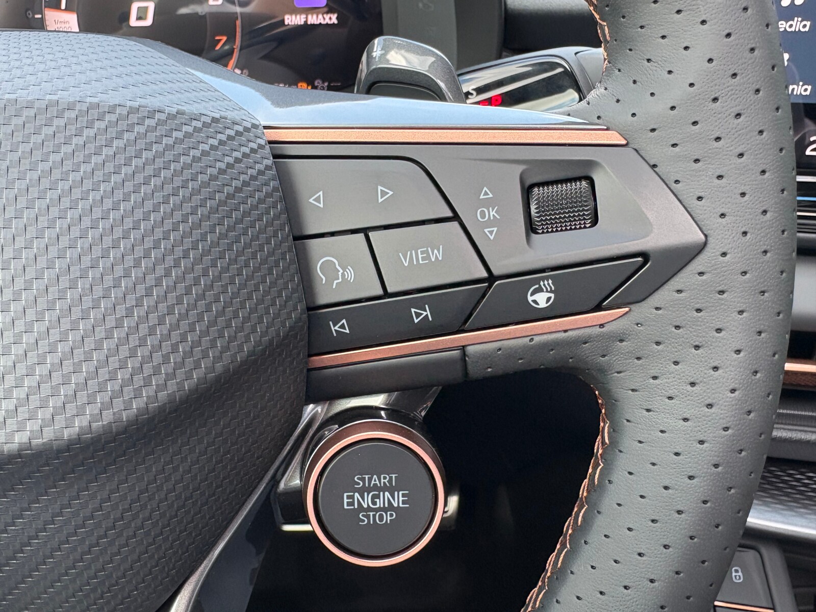 Cupra Terramar - zdjęcie 26
