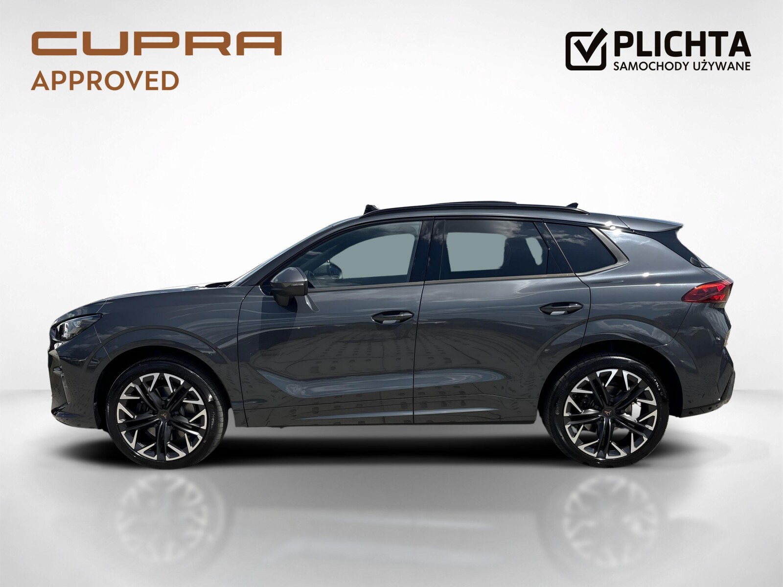 Cupra Terramar - zdjęcie 2