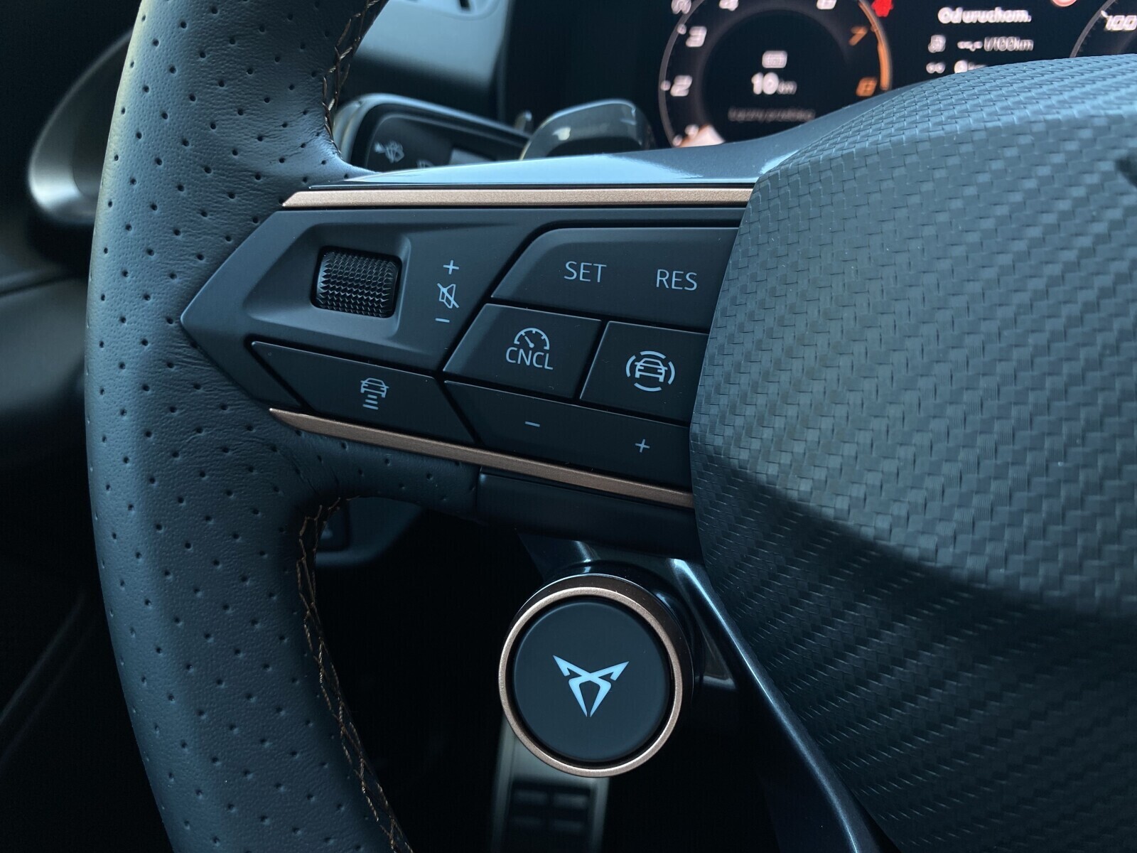 Cupra Terramar - zdjęcie 16