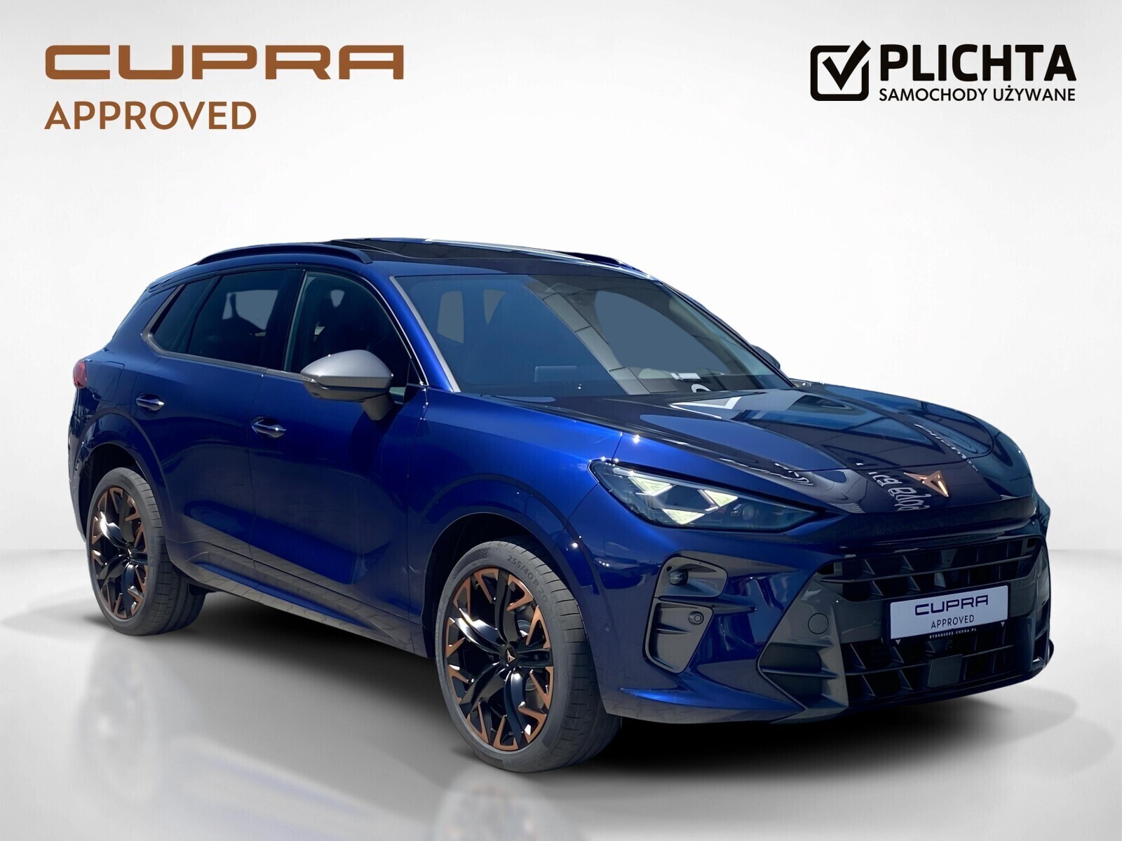 Cupra Terramar - zdjęcie 7