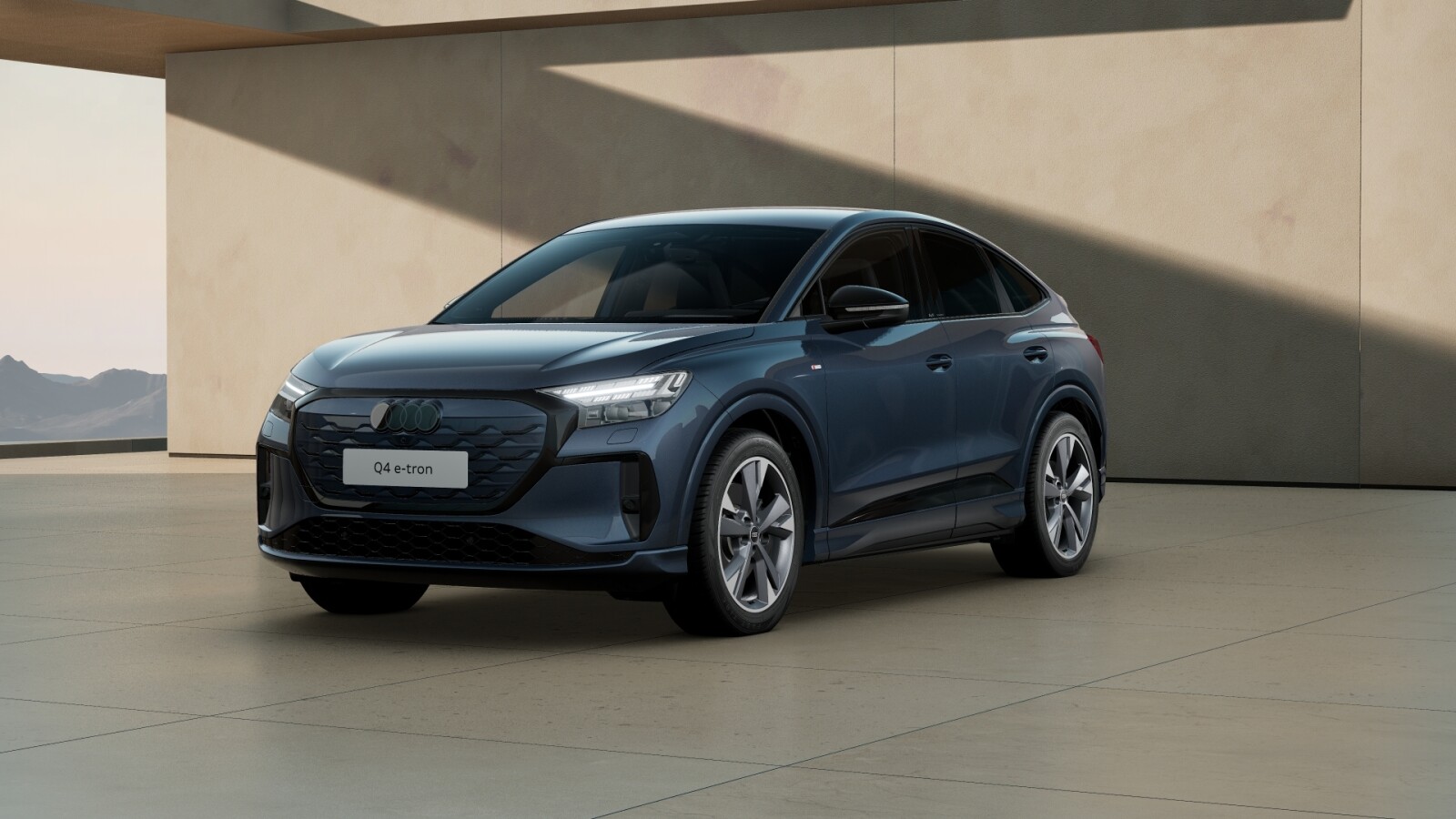 Zdjęcie 1 z 11