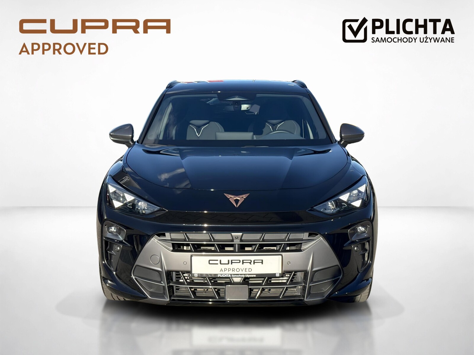 Cupra Terramar - zdjęcie 8