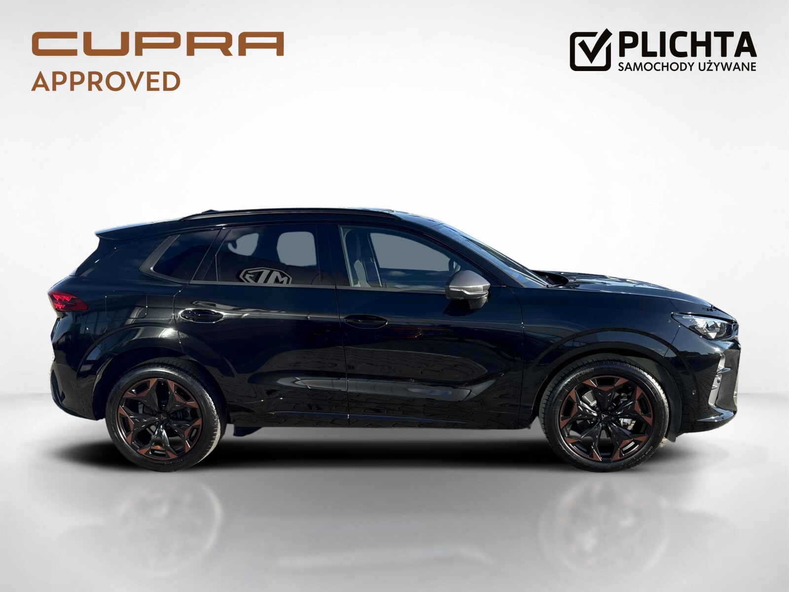 Cupra Terramar - zdjęcie 6