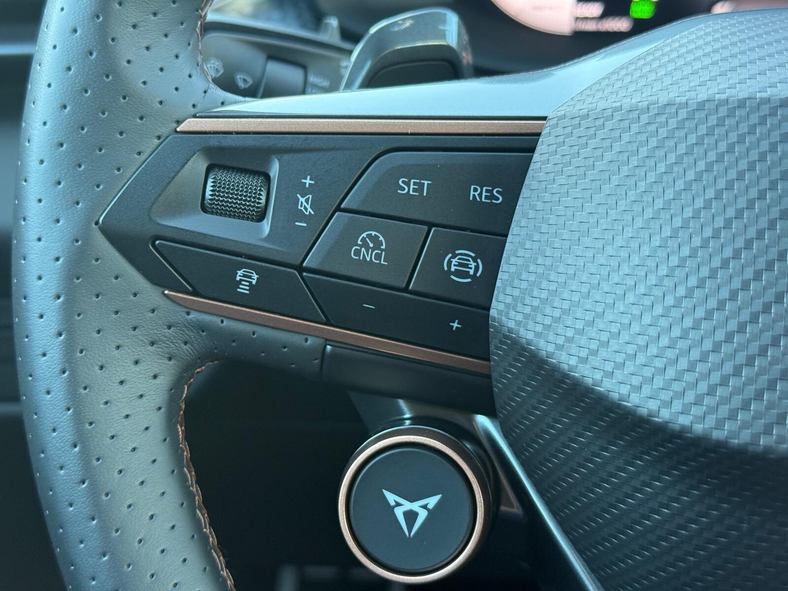 Cupra Terramar - zdjęcie 24