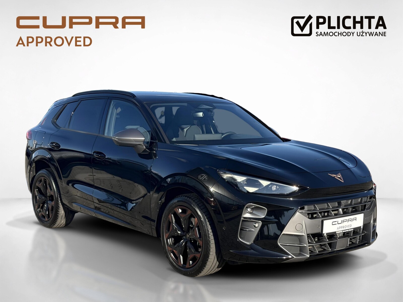 Cupra Terramar - zdjęcie 7