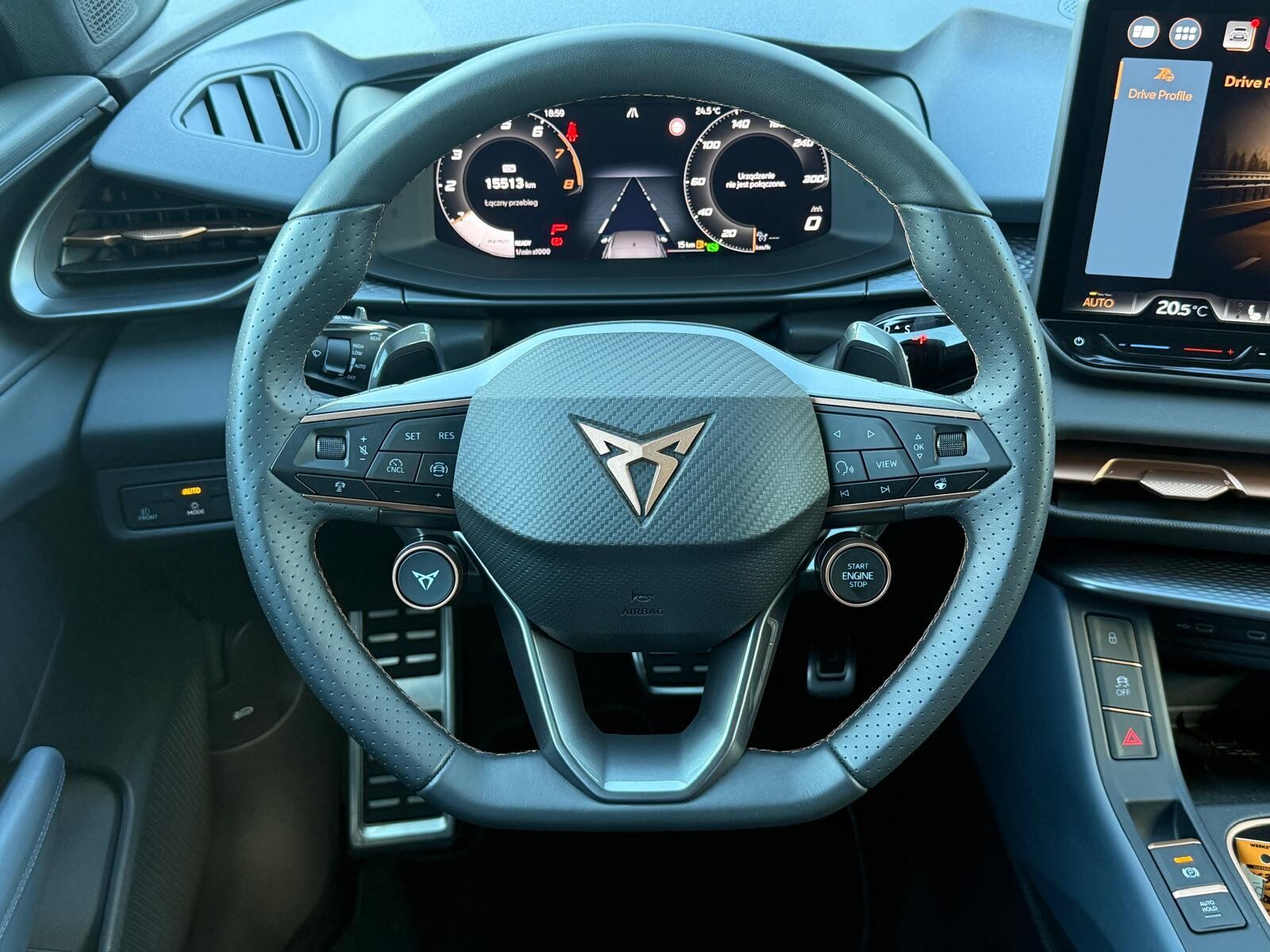 Cupra Terramar - zdjęcie 11
