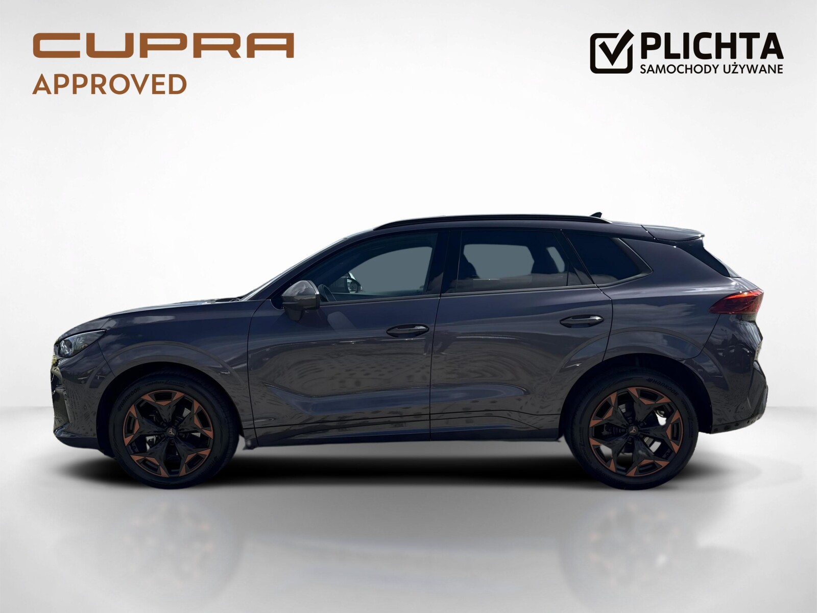 Cupra Terramar - zdjęcie 2
