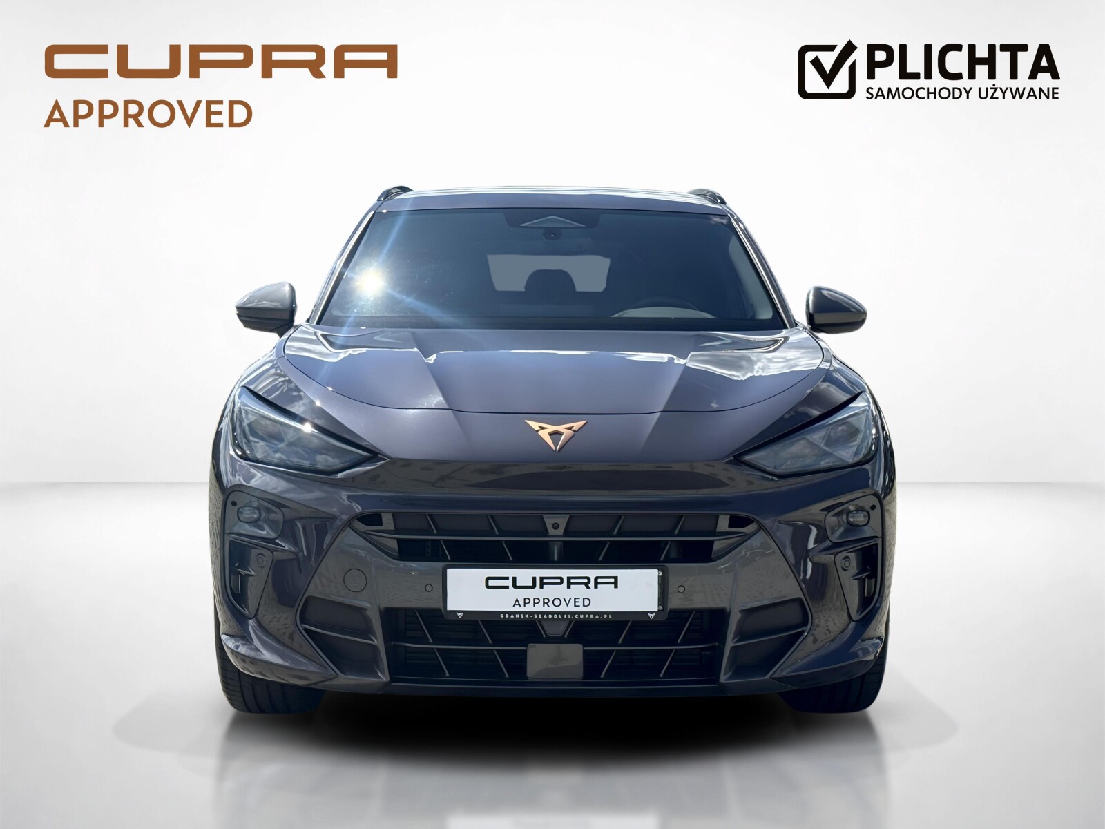 Cupra Terramar - zdjęcie 8