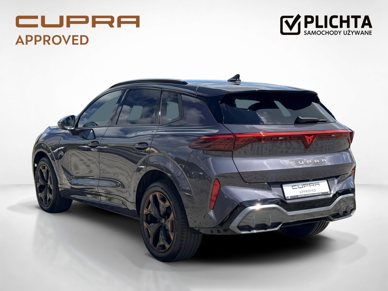 Cupra Terramar - zdjęcie 3