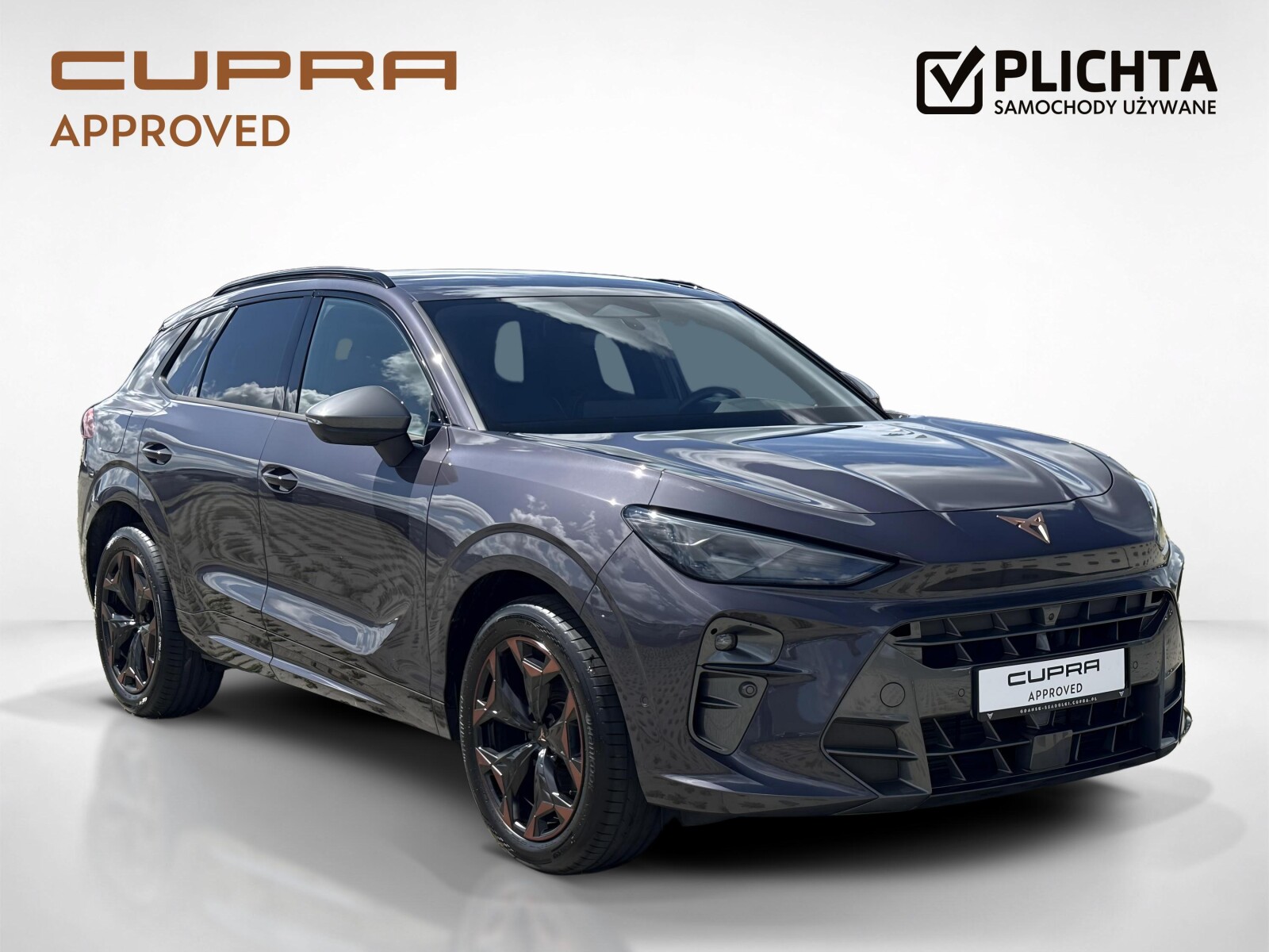 Cupra Terramar - zdjęcie 7