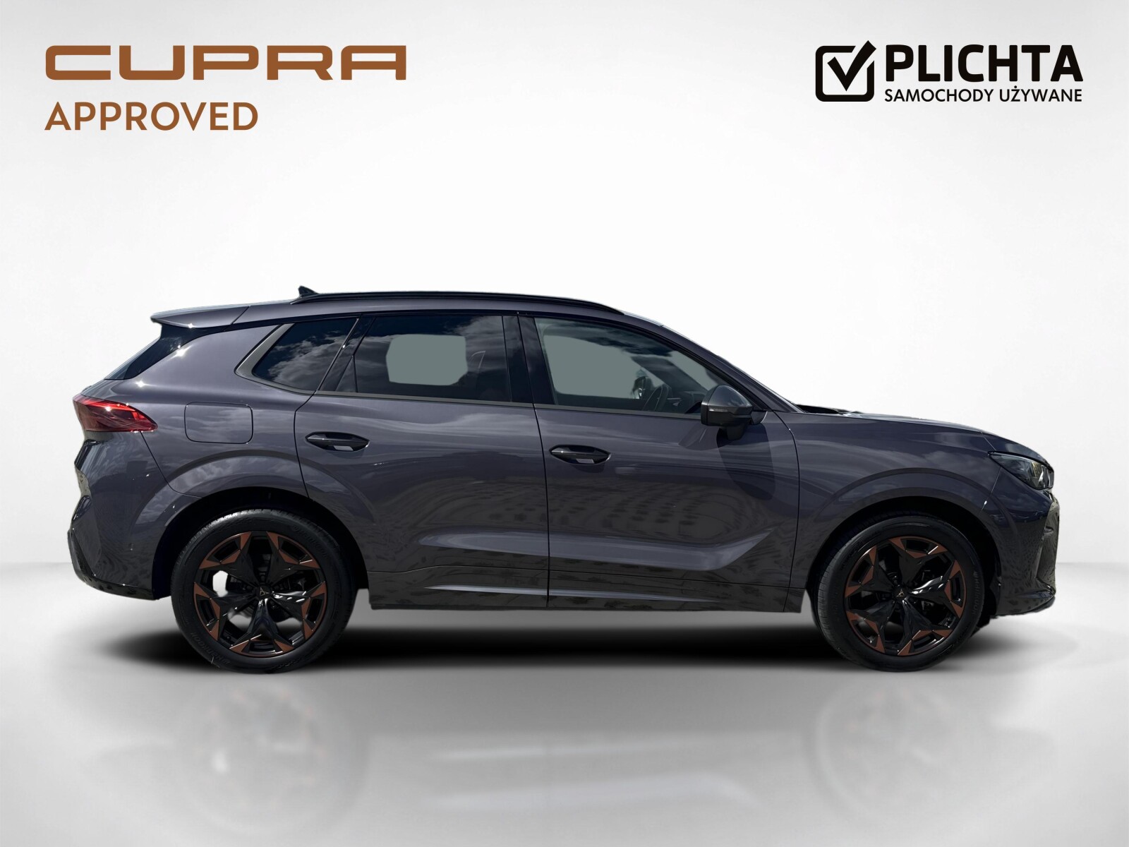 Cupra Terramar - zdjęcie 6