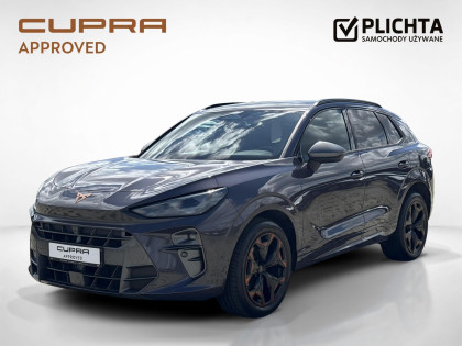 używany Cupra Terramar salon Seat Gdańsk Lubowidzka