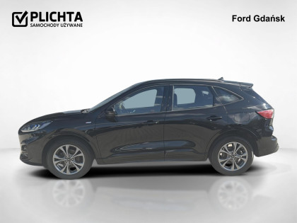 2.5 FHEV ST Line Automat 190 KM FV Vat 23%