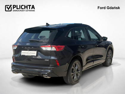 2.5 FHEV ST Line Automat 190 KM FV Vat 23%