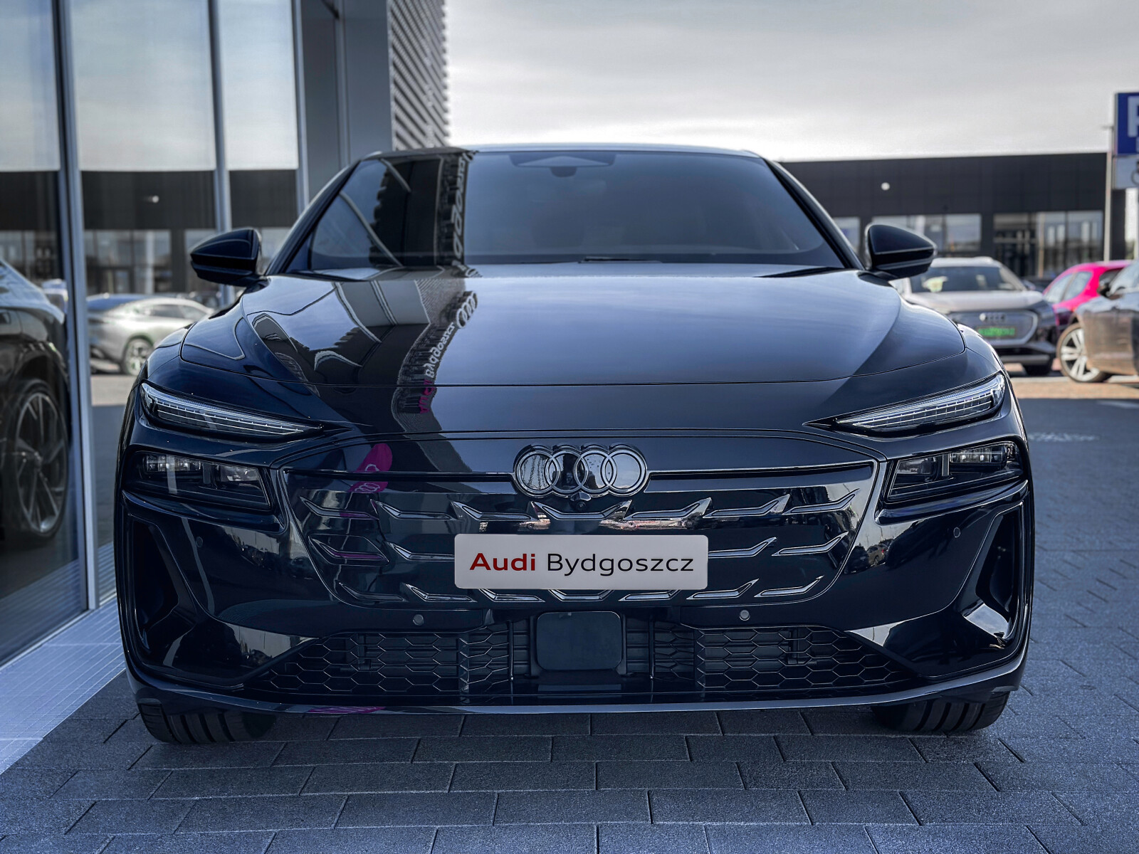 Zdjęcie 3 z 40