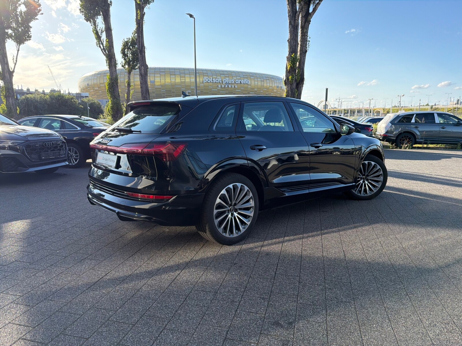 Audi e-tron - zdjęcie 10