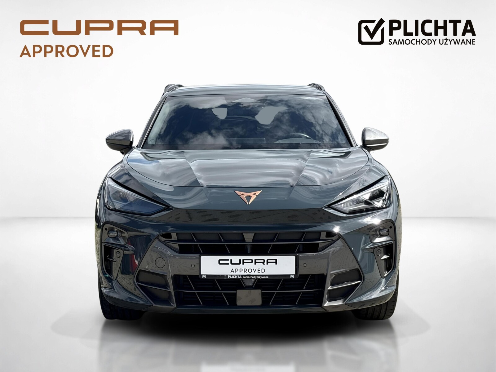 Cupra Terramar - zdjęcie 8