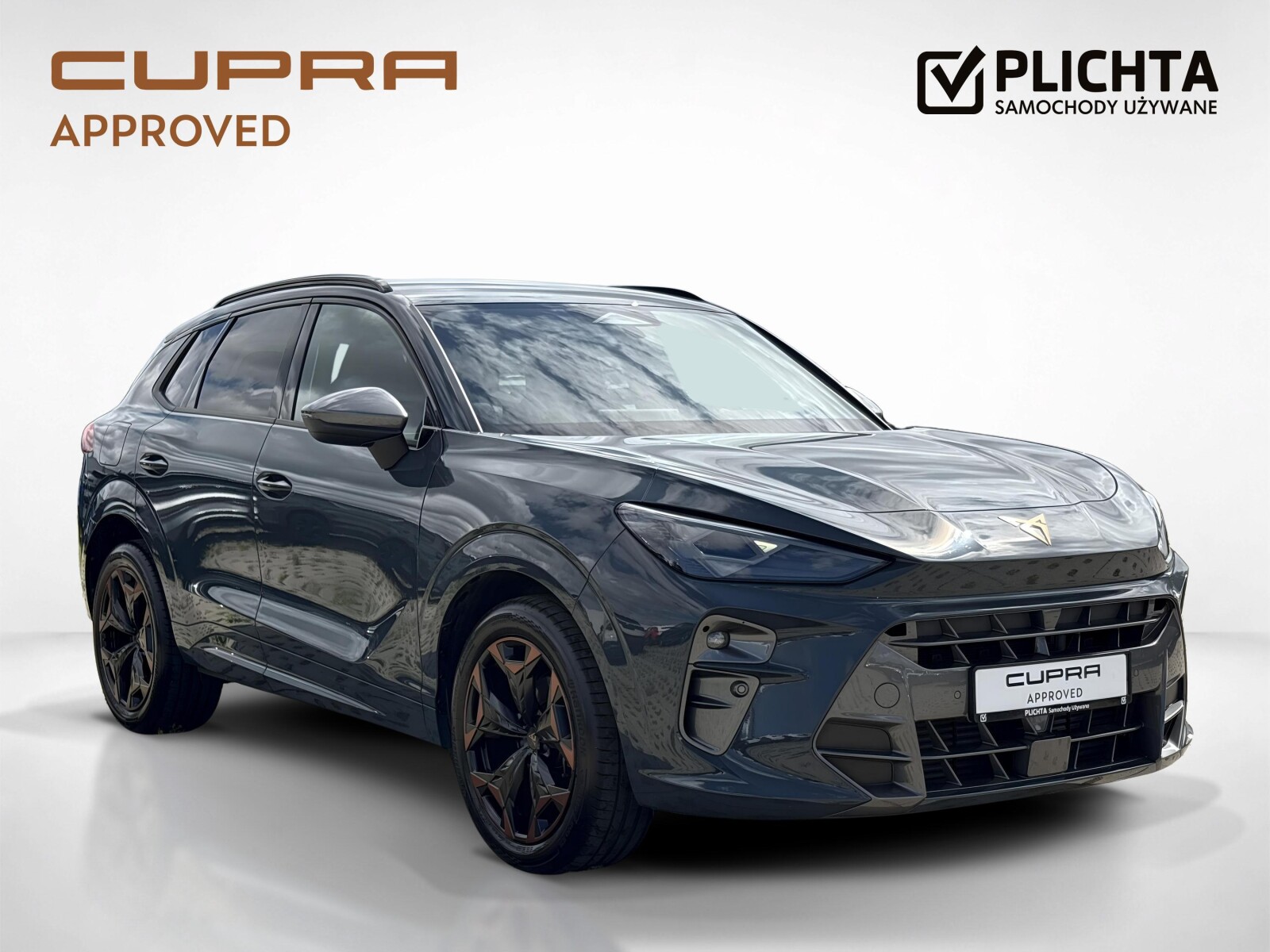 Cupra Terramar - zdjęcie 7