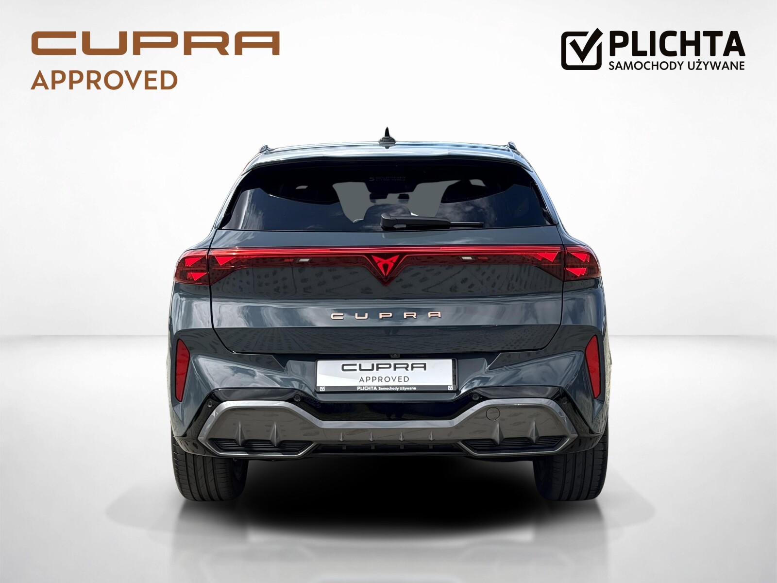 Cupra Terramar - zdjęcie 4