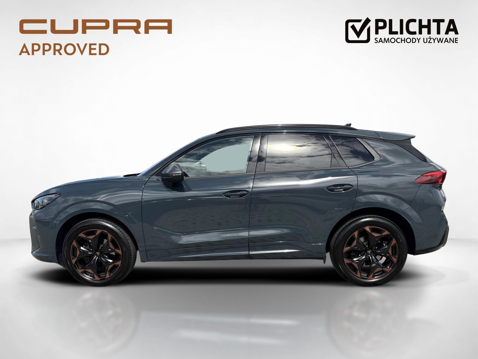 Cupra Terramar - zdjęcie 2