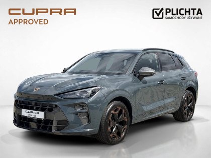 używany Cupra Terramar salon Seat Gdańsk Lubowidzka