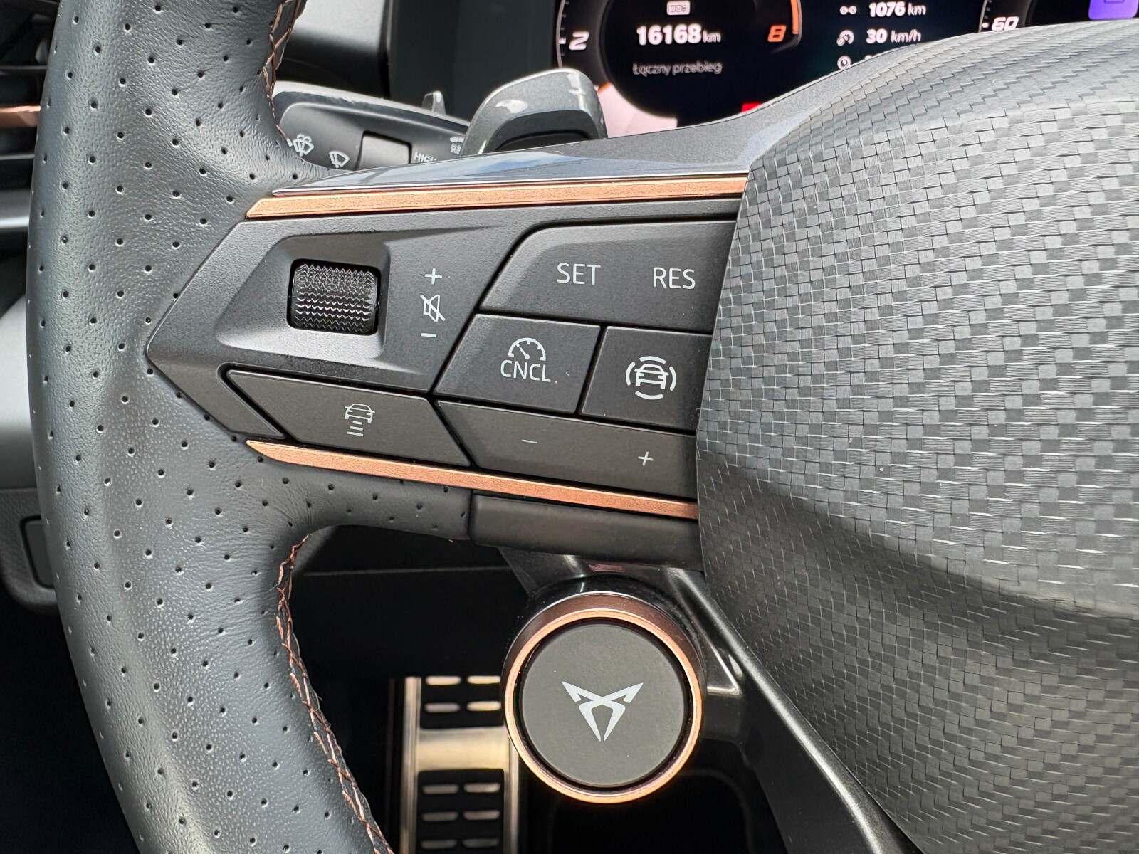 Cupra Terramar - zdjęcie 25