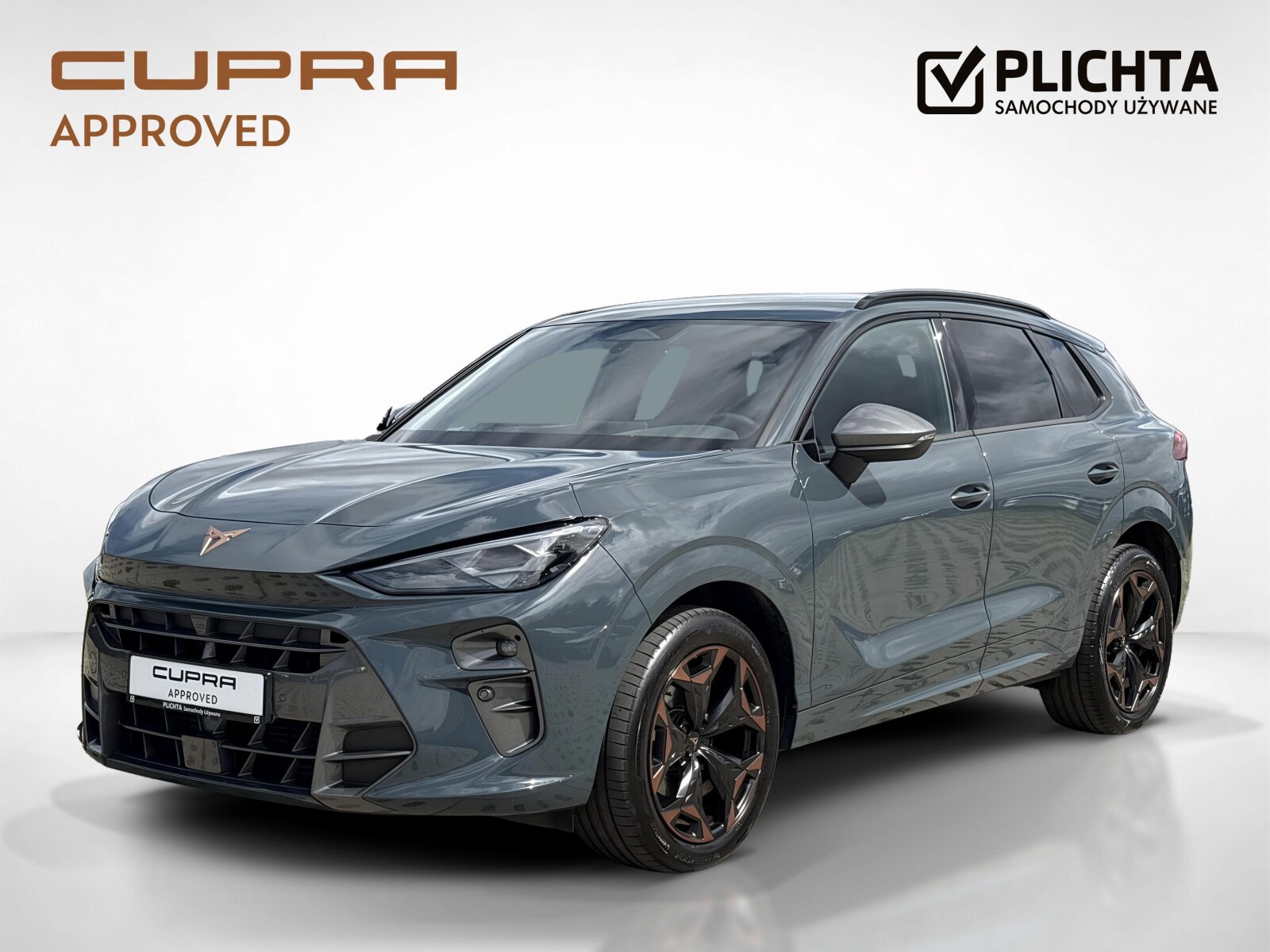 Cupra Terramar - zdjęcie 1