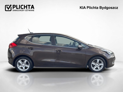 1,6 ,L, Salon Polska
