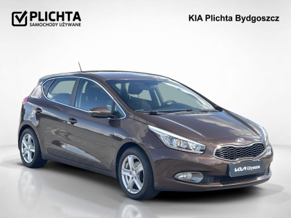 1,6 ,L, Salon Polska