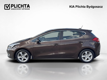 1,6 ,L, Salon Polska