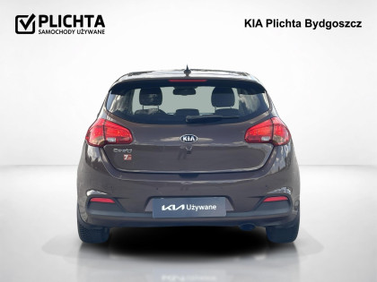 1,6 ,L, Salon Polska