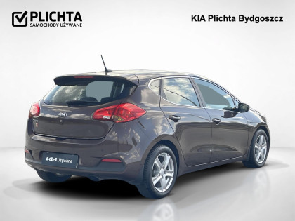 1,6 ,L, Salon Polska