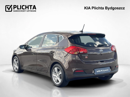 1,6 ,L, Salon Polska