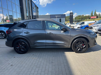 Nowość Kuga Blue Cruise Edition !