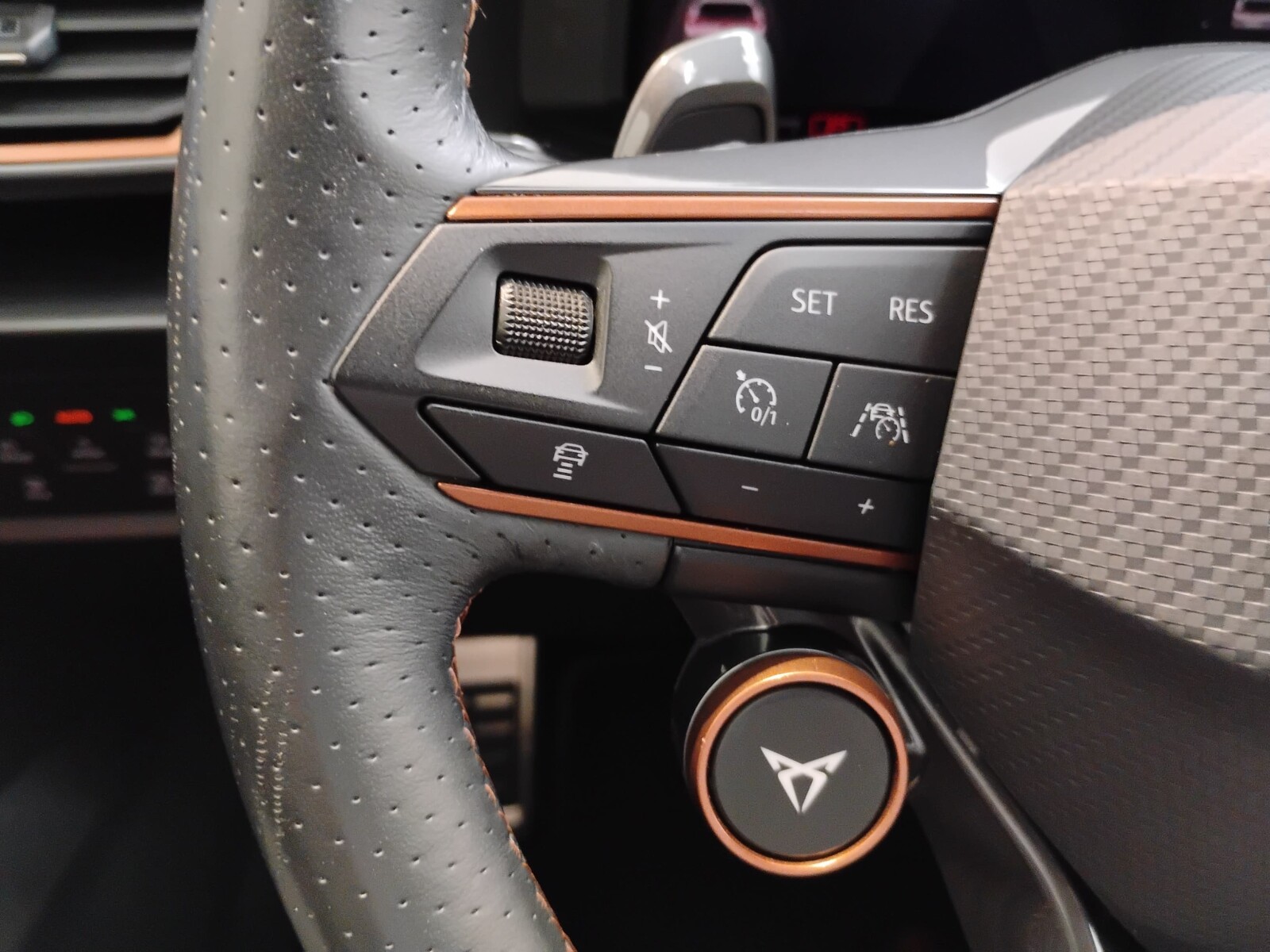 Cupra Formentor - zdjęcie 22