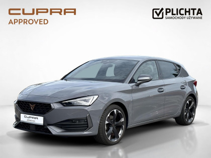 używany Cupra Leon salon Volkswagen Plichta Gdynia