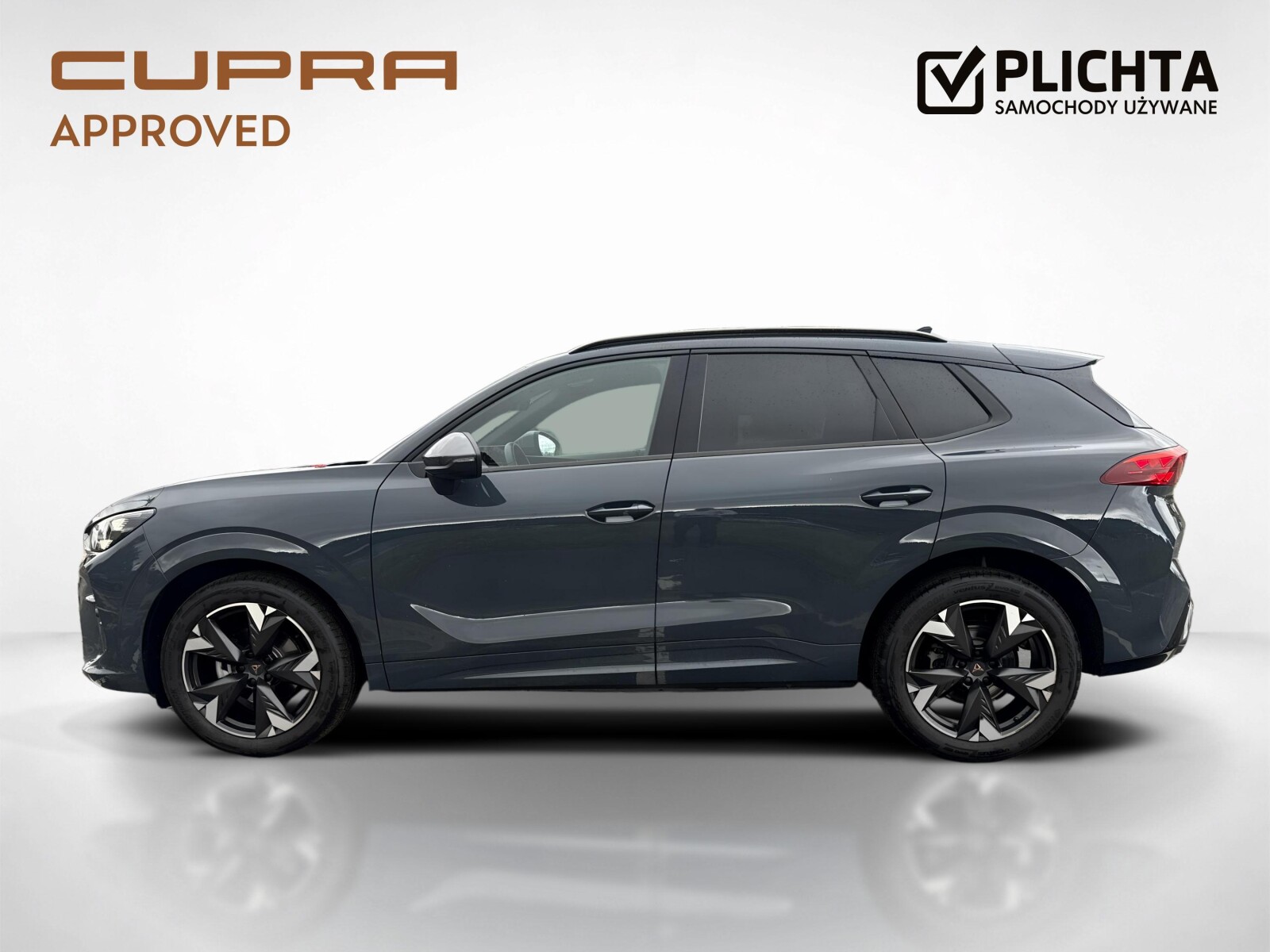 Cupra Terramar - zdjęcie 2