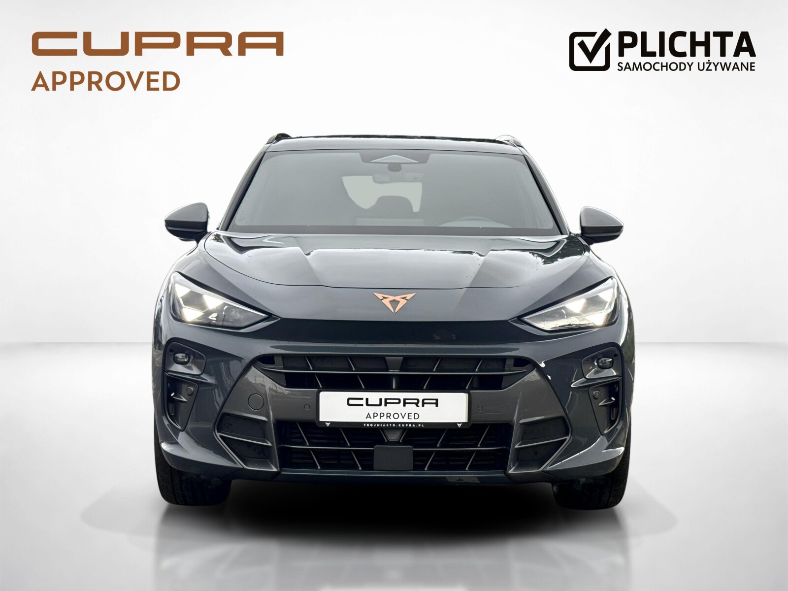 Cupra Terramar - zdjęcie 8