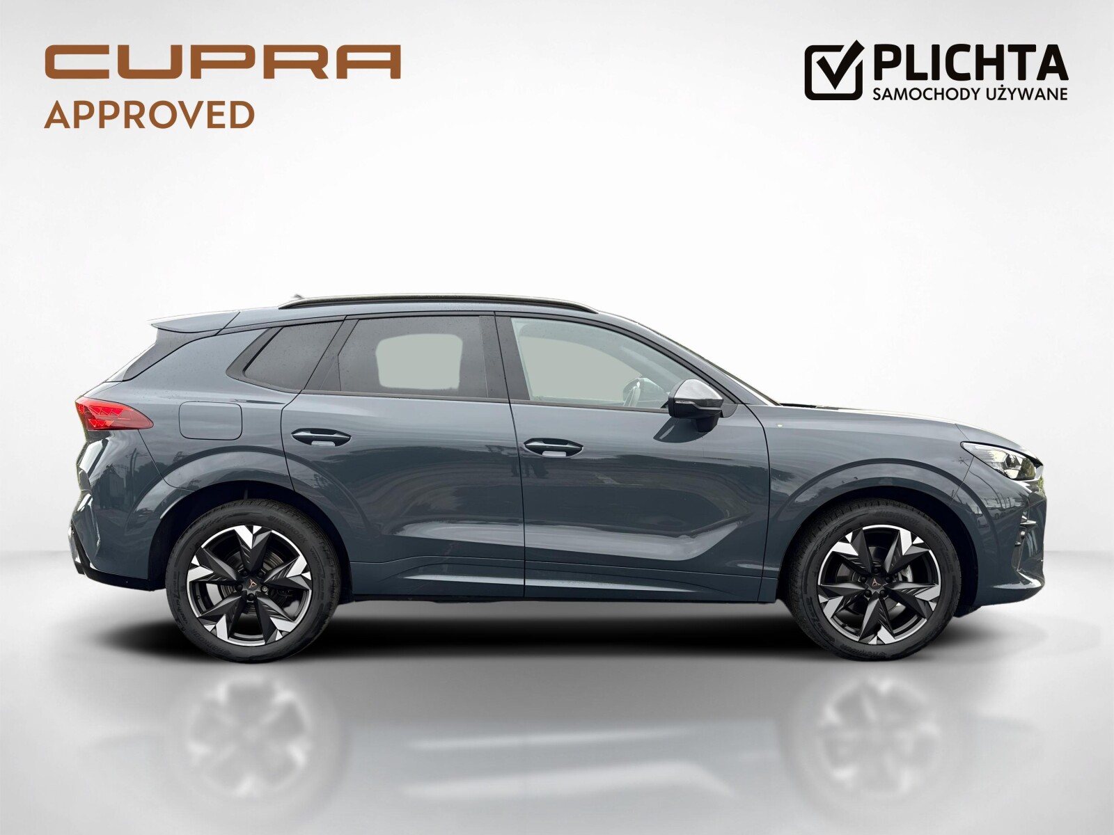 Cupra Terramar - zdjęcie 6