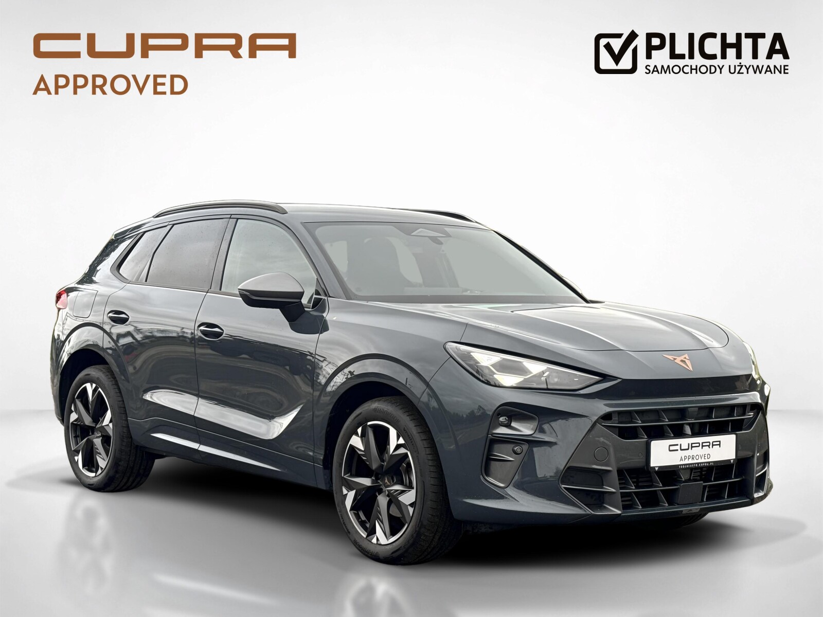 Cupra Terramar - zdjęcie 7