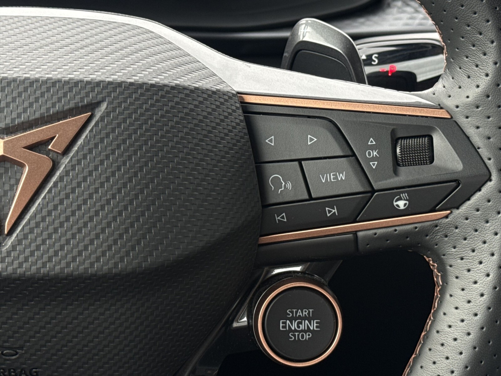 Cupra Terramar - zdjęcie 17