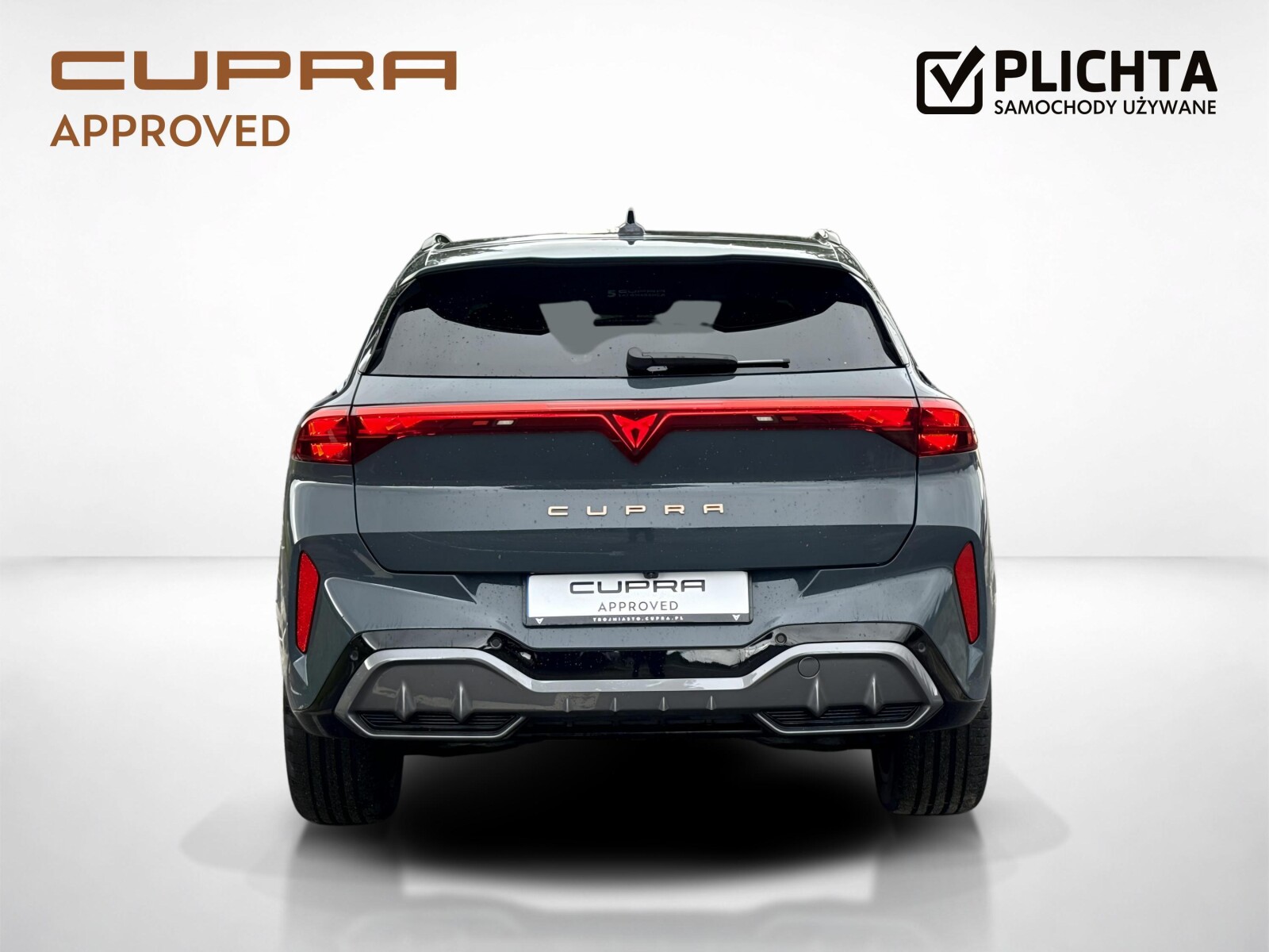 Cupra Terramar - zdjęcie 4