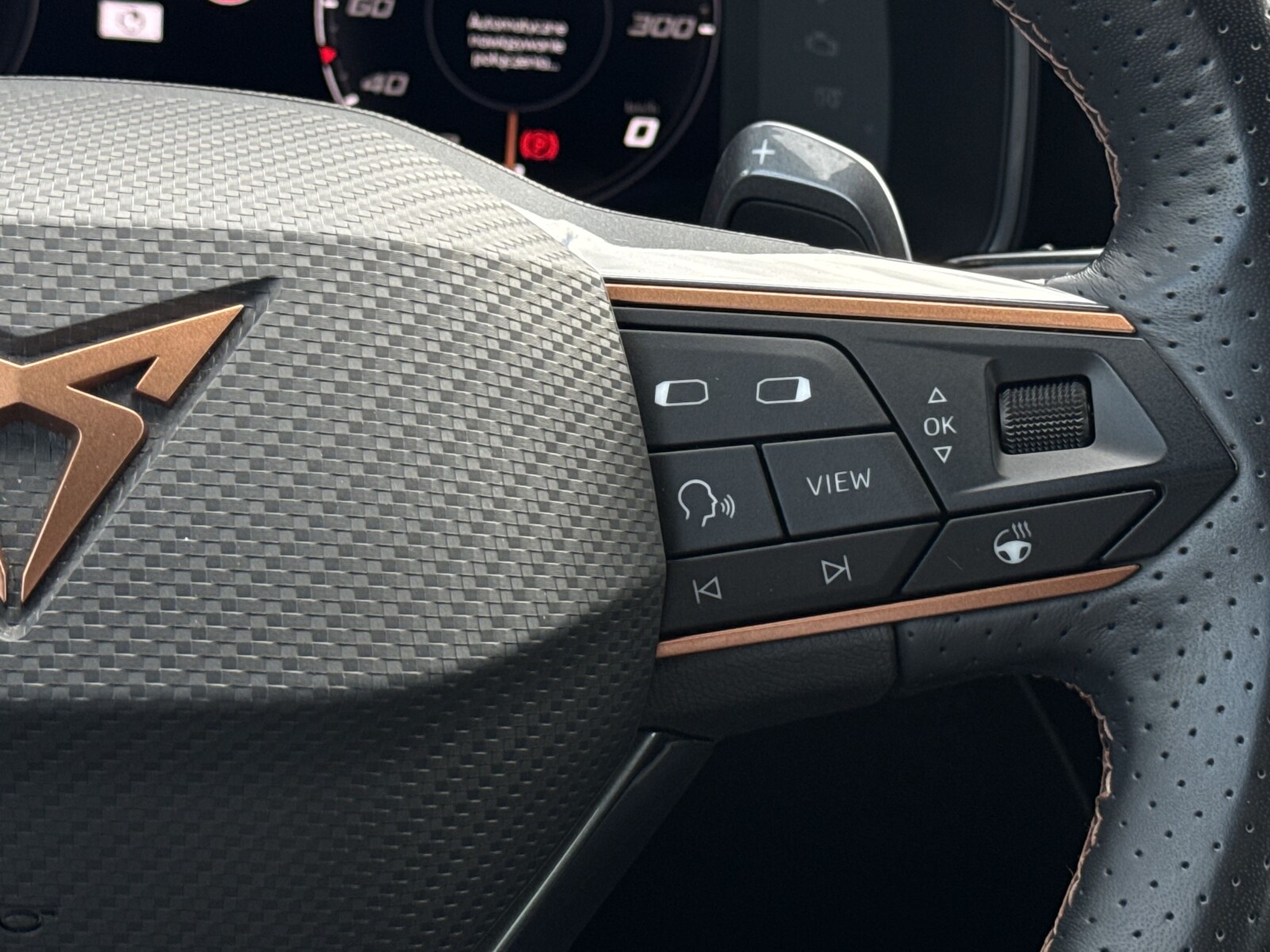 Cupra Formentor - zdjęcie 16