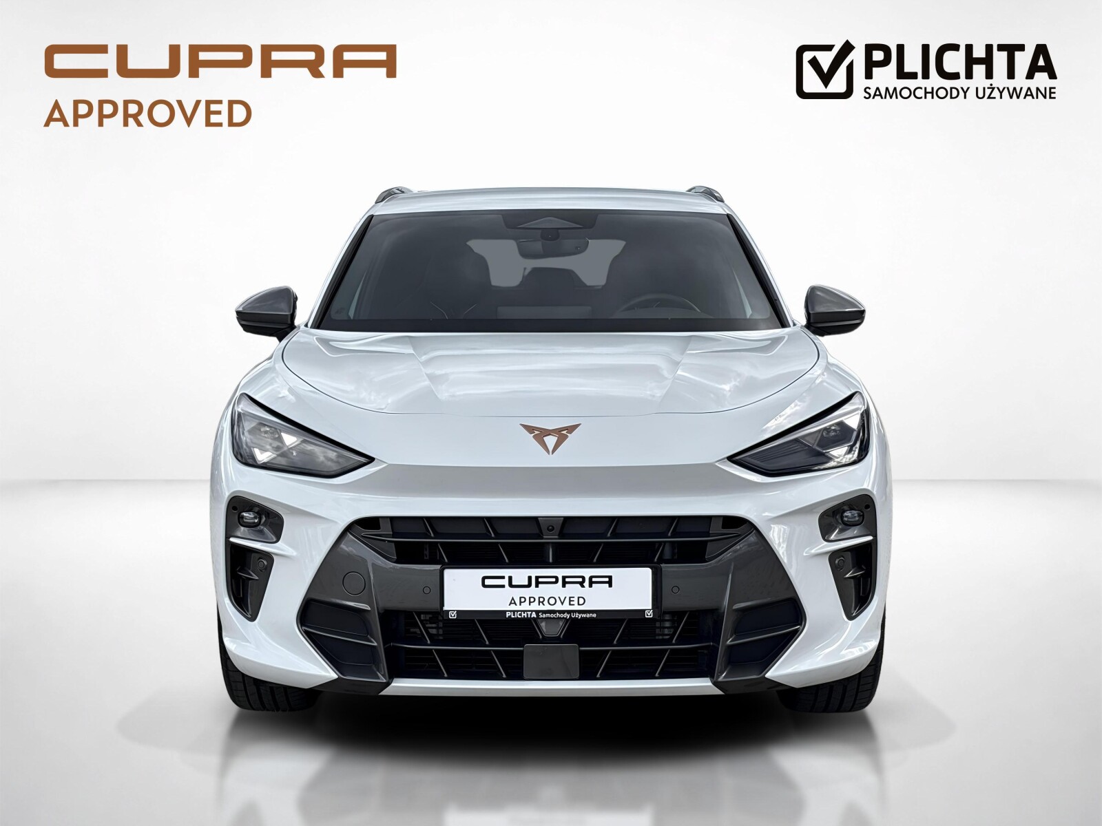 Cupra Terramar - zdjęcie 8