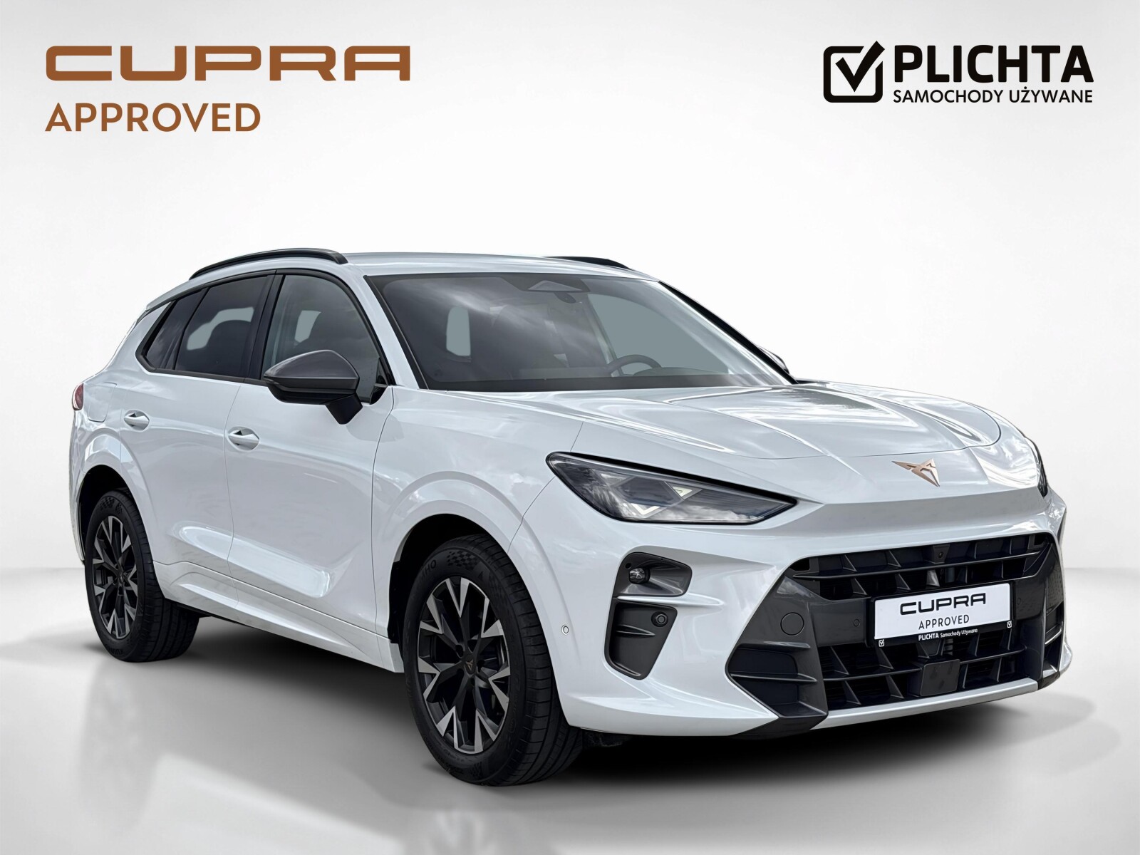 Cupra Terramar - zdjęcie 7